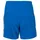 Ternua Outrun Kurze Hosen Blau L