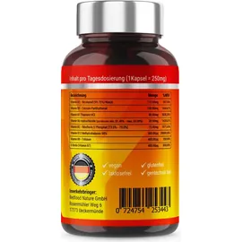 Redfood Vitamin B-Komplex Kapseln 240 St.