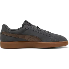 Puma Smash 3.0 Unisex Grau/Bronze 42