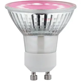 Paulmann LED-Pflanzenlampe Wachstum 230 V GU10 3.5 W 95 lm,