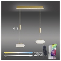 Paul Neuhaus Smarte LED-Leuchte LED Pendellampe Q ETIENNE Smart Home, Smart Home, CCT-Farbtemperaturregelung, RGB-Farbwechsel, Dimmfunktion, Memoryfunktion, mit Leuchtmittel, dimmbar Fernbedienung höhenverstellbar CCT Pendel silberfarben