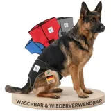 NATURE PET Premium Läufigkeitshose für Hündinnen – Hochwertige & Bequeme Hundewindeln für Hündinnen & Rüden – Waschbare Inkontinenz-Hundewindel ohne Einfädeln der Rute – L/Schwarz