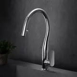 Fortis Mosa extend Küchenarmatur Silber