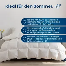 AM Qualitätsmatratzen DormiGood Sommerdecke Daunen Bettdecke 2er Set Made in Germany aus 100% | Daunen 140x200cm