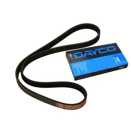 DAYCO Keilrippenriemen
