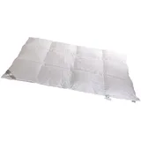 Betten Hofmann Sibiria Winter Daunendecke Bettdecke 3x4 135x200 sibir. Wildgans warm - Weiß