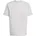 Team Light Grey 3XL