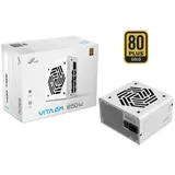 kompatible Ware FSP Netzteil VITA 850 GM W 80+G
