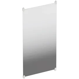 Hewi S 801 Wandspiegel 801.01B30097 600x1200x6mm, mit Haltern, matt, lichtgrau