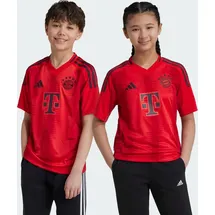 Adidas FC Bayern München 24/25 Kids Heimtrikot Red 176