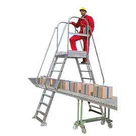 Günzburger Überbrückung Podestleiter 6 Stufen