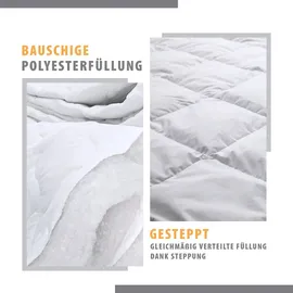 Amazinggirl Bettdecke Sommerdecke 135 x 200 cm - Duvet Bett Decke Schlafdecke Steppbettdecke Quilt Bettzeug und Bettdecken mit Füllung Oeko-Tex-Zertifikat