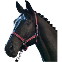 Horse Guard RIO Halfter 1 St