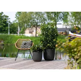 Capi Europe Blumentopf Tutch Ø 35 x 34 cm schwarz
