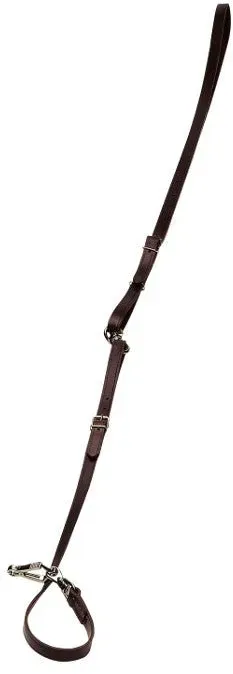 Umhäge- oder Führleine, Leder braun - 16 mm breit Hundeleine