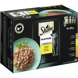 Sheba Delikatesse in Gelee 12x85g