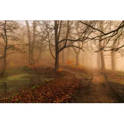Fototapete PAPERMOON "Photo-Art LEIF LONDAL, WELCHEN WEG II", bunt, B:3,50m L:2,60m, Vlies, Tapeten
