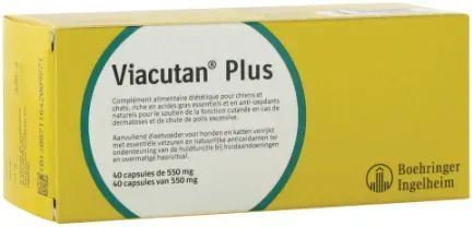Viacutan Plus Diät-Ergänzungsfuttermittel Hunde Und Katzen Kapseln 40x550mg