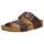 HAFLINGER Bio Andrea Braun 40
