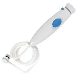 waterpik wp 100