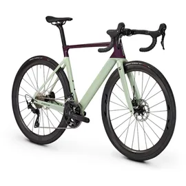 Focus Izalco Max 8.8 2024 Unisex 28 Zoll RH 54 cm lila