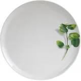 CreaTable Pizzateller Kräuter 35 cm 4er Set