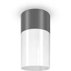 Maytoni Moderner Deckenstrahler Außen, Deckenlampe, Deckenbeleuchtung, Zylinder, 1-flammig, Grau, Weiß, Aluminium und Kunststoff