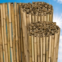 Sol Royal Bambus Sichtschutz Zaun 100x250 cm SolVision B38 - langlebiger & witterungsbeständiger 100% Bambus Sicht Schutz Indoor & Outdoor für Balkon, Terrasse, Garten - Windschutz & Sonnenschutz
