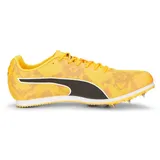 sun stream/sunset glow/puma black 43
