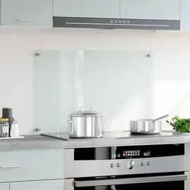 vidaXL Küchenrückwand Transparent 80×50 cm Hartglas