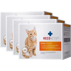 4er Set Recoactiv Nieren Tonicum für Katzen Kurpackung 3X90 ml