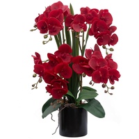 CXGS Künstliche Orchidee, Blumenpflanzen, fühlt sich echt an, künstliche Orchideen in Keramikvase, realistische rote Phalaenopsis-Orchidee, gefälschtes Blumenarrangement, Tischdekoration, lebendige