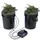 Vevor DWC Hydroponisches Anbausystem 2x 20 l Schwarz