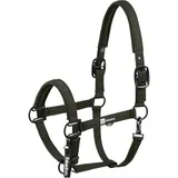 Eskadron Dynamic 25 Sparkle Halfter oliv Pony