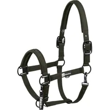 Eskadron Dynamic 25 Sparkle Halfter oliv Pony