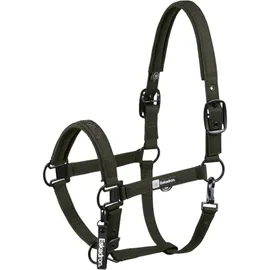 Eskadron Dynamic 25 Sparkle Halfter oliv Pony
