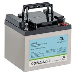 REICH Reich AGM 50 Batterie  527-0017