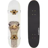 Firefly SKB 505 Skateboard White/BROWNSMOKE/WHI Einheitsgröße