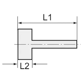Riegler Aufschraubschlauchtülle, G 1/2, für Schlauch LW 6 mm, SW 24, MS