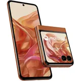 Motorola Razr 50