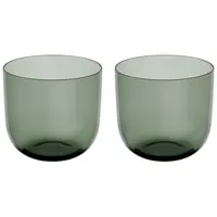 Villeroy & Boch Like Sage Wasserglas 0,3 l 2 St.