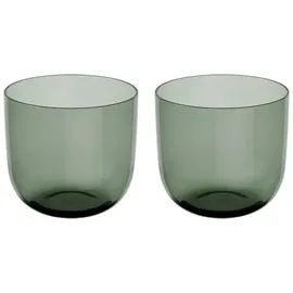 Villeroy & Boch Like Sage Wasserglas 0,3 l 2 St.