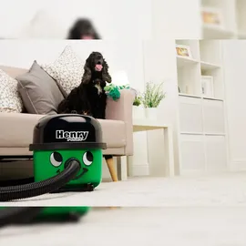 Numatic Henry Petcare HPC160-11