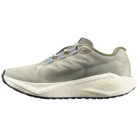 Salomon Aero Blaze 3 GRVL Herren Grün 42
