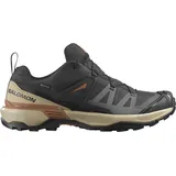 Salomon X Ultra 360 GTX Herren Phantom / Safari / Caramel Cafe 41 1/3