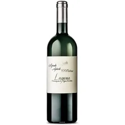 Zenato Santa Cristina Lugana 2024