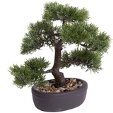 Botanic-Haus Kunstbonsai »Ceder Bonsai grün 32 cm 420001