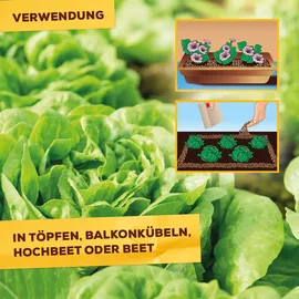 Solabiol Schneckenbarriere Granulat 1,5 kg