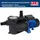 T.I.P. Filterpumpe SPP 600 FT schwarz/blau