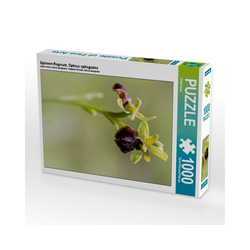CALVENDO Puzzle CALVENDO Puzzle Spinnen-Ragwurz, Ophrys sphegodes, 1000 Puzzleteile